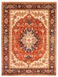 Bordered  Traditional Brown Area rug 9x12 Indian Hand-knotted 344230