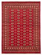 Bordered  Traditional Red Area rug 5x8 Pakistani Hand-knotted 364244