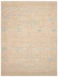 Casual  Transitional Grey Area rug 9x12 Pakistani Hand-knotted 367257