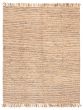Braided  Transitional Brown Area rug 6x9 Indian Braid weave 368737