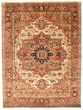 Bordered  Traditional Brown Area rug 9x12 Indian Hand-knotted 370181