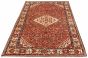 Persian Revival 6'11" x 10'8" Hand-knotted Wool Rug 