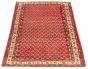 Indian Royal Mahal 3'7" x 5'6" Hand-knotted Wool Rug 