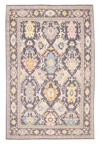 Bordered  Transitional Grey Area rug 10x14 Pakistani Hand-knotted 382079
