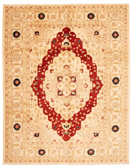 Bordered  Traditional Ivory Area rug 9x12 Afghan Hand-knotted 338127