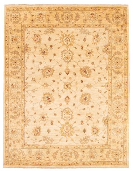 Bordered  Traditional Ivory Area rug 6x9 Indian Hand-knotted 356548