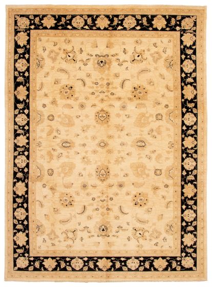 Bordered  Traditional Ivory Area rug 10x14 Pakistani Hand-knotted 338396