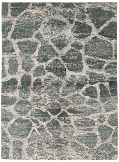 Casual  Contemporary Grey Area rug 5x8 Indian Hand-knotted 338561