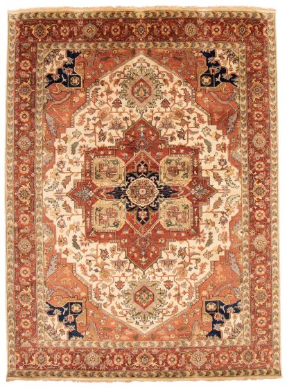 Bordered  Traditional Brown Area rug 9x12 Indian Hand-knotted 370183