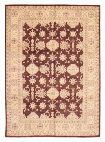 Bordered  Traditional Brown Area rug 10x14 Pakistani Hand-knotted 378852