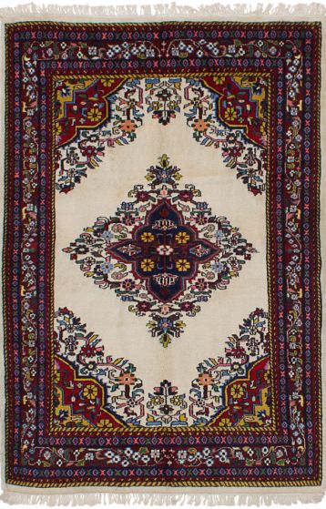Traditional Ivory Area rug 4x6 Indian Hand-knotted 245915