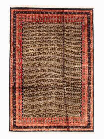 Bordered  Tribal Black Area rug 3x5 Indian Hand-knotted 348820