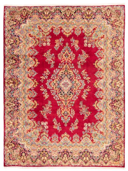 Bordered  Traditional Red Area rug 9x12 Persian Hand-knotted 351588