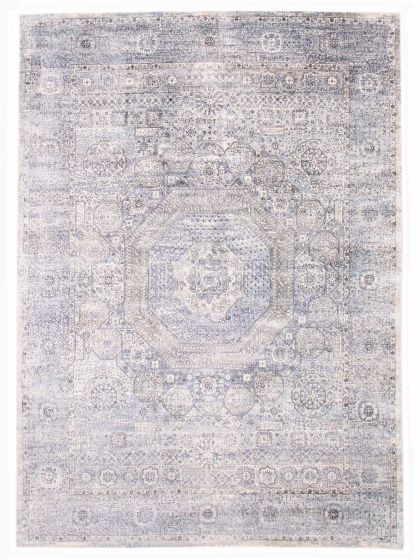 Traditional  Transitional Blue Area rug 9x12 Indian Hand Loomed 386334