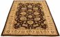 Indian Chobi Twisted 6'10" x 10'3" Hand-knotted Wool Rug 