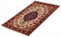Persian Style 3'1" x 4'8" Hand-knotted Wool Rug 