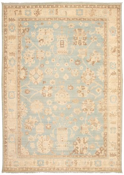 Bordered  Transitional Blue Area rug Unique Pakistani Hand-knotted 339131