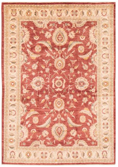 Bordered  Traditional Red Area rug 6x9 Afghan Hand-knotted 379033