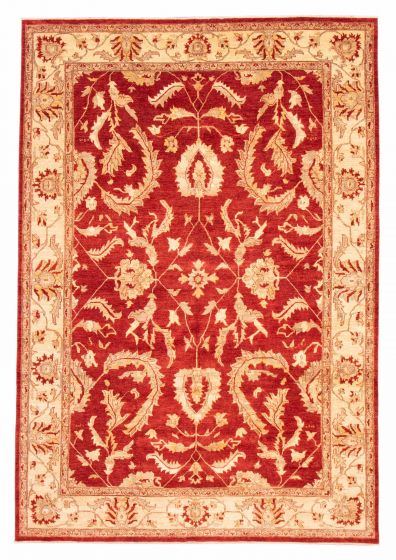Bordered  Traditional Red Area rug 12x15 Afghan Hand-knotted 380707