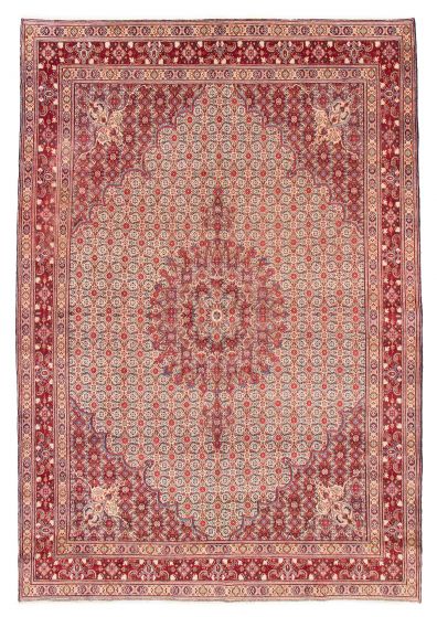 Bordered  Traditional Ivory Area rug Unique Persian Hand-knotted 384981