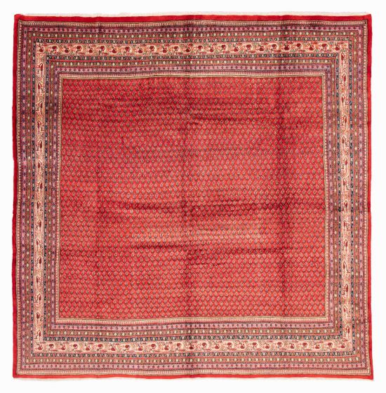 Bordered  Tribal Red Area rug Square Persian Hand-knotted 383050
