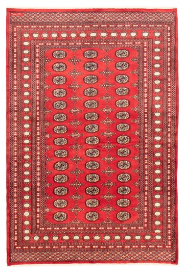 Bordered  Tribal Red Area rug 5x8 Pakistani Hand-knotted 359506