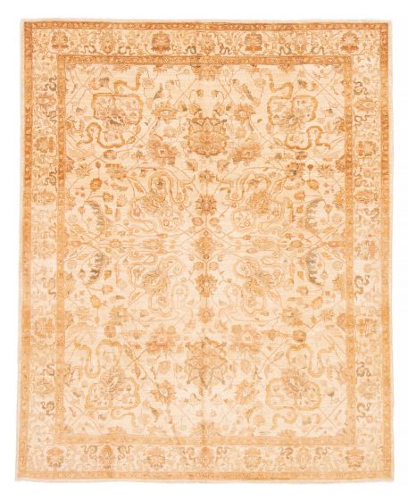 Bordered  Traditional Ivory Area rug 6x9 Afghan Hand-knotted 378966