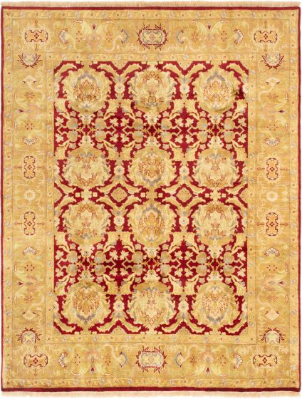 Bordered  Traditional Red Area rug 6x9 Indian Hand-knotted 284281