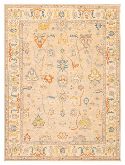 Bordered  Transitional Brown Area rug 9x12 Pakistani Hand-knotted 366896