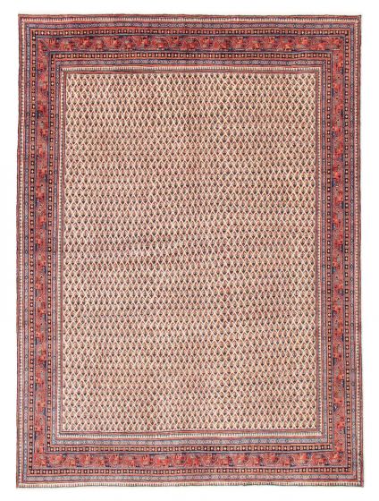 Bordered  Tribal Ivory Area rug 9x12 Indian Hand-knotted 384925