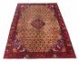 Persian Revival 4'10" x 8'8" Hand-knotted Wool Rug 