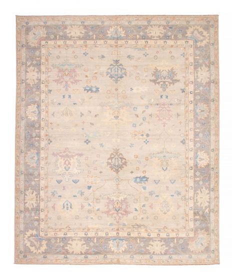 Bordered  Transitional Grey Area rug 12x15 Pakistani Hand-knotted 382342
