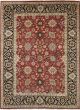 Floral  Traditional Red Area rug 10x14 Indian Hand-knotted 240974