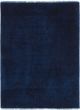 Bohemian  Transitional Blue Area rug 3x5 Indian Hand-knotted 242612