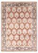 Bordered  Transitional Brown Area rug 9x12 Indian Hand-knotted 313657