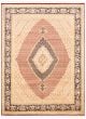 Bordered  Traditional Ivory Area rug 9x12 Pakistani Hand-knotted 336046