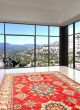 Bordered  Traditional Red Area rug 10x14 Afghan Hand-knotted 348260