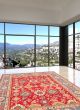 Bordered  Traditional Red Area rug 6x9 Afghan Hand-knotted 359401