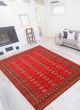 Bordered  Traditional Red Area rug 6x9 Pakistani Hand-knotted 363309
