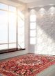 Bordered  Traditional Red Area rug 8x10 Persian Hand-knotted 366005