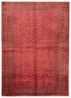 Bordered  Traditional Red Area rug 6x9 Turkmenistan Hand-knotted 366272