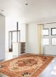Bordered  Traditional Brown Area rug 9x12 Indian Hand-knotted 370183