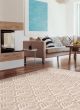 Contemporary/Modern  Transitional Brown Area rug 4x6 Turkish Flat-Weave 374744