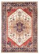 Bordered  Traditional Ivory Area rug 9x12 Indian Hand-knotted 377643