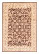 Bordered  Traditional Brown Area rug 8x10 Afghan Hand-knotted 378789
