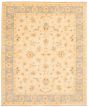 Bordered  Traditional Ivory Area rug 6x9 Pakistani Hand-knotted 336626