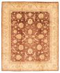 Bordered  Traditional Brown Area rug 6x9 Afghan Hand-knotted 346345