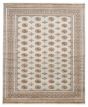 Bordered  Traditional Grey Area rug 6x9 Pakistani Hand-knotted 363288