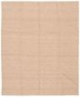 Braided  Transitional Brown Area rug 6x9 Indian Braid weave 368735