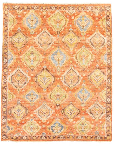 Bordered  Traditional Brown Area rug 6x9 Indian Hand-knotted 344148